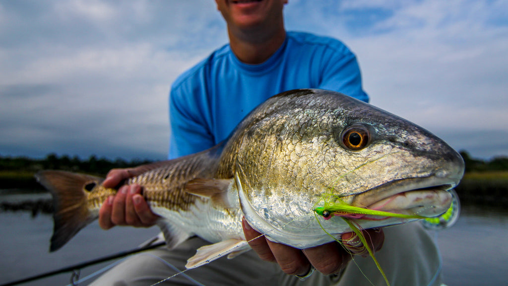 The Lowdown On Fly Fishing For Late Summer Low Tide Redfish.