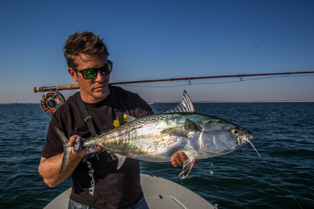 Get in on the Action - Fall False Albacore part 1