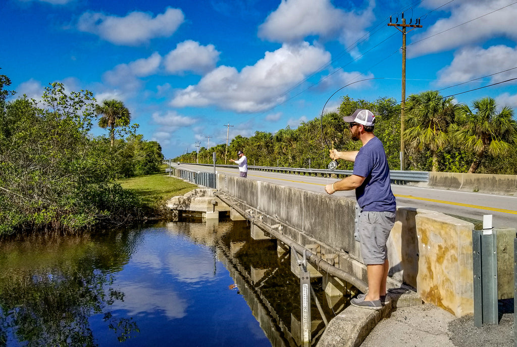 24 Hour Tour - The Tamiami Trail and the Everglades - Part 1