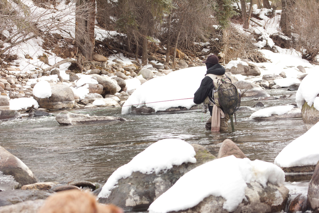 Winter Fly Fishing for Trout, by Cooper Anderson