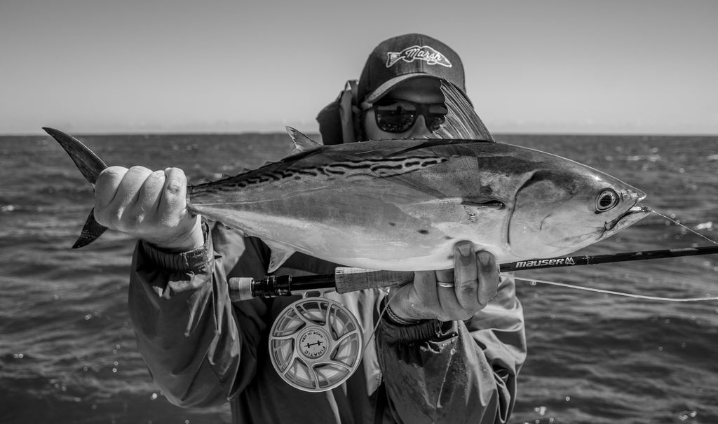Get in on the Action - Fall False Albacore part 2